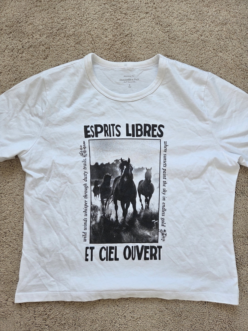 Abercrombie & Fitch Horse Graphic Tee Size Small - Picture 2 of 4